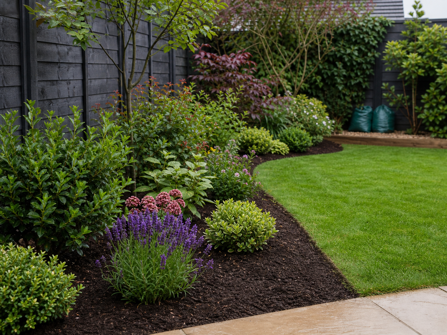 Freshly cleared garden border with tidy soil and plants